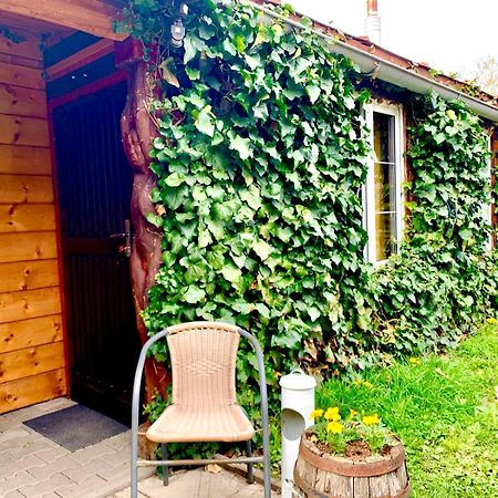 Dovolenkovy Dom Ela Pets Friendly Apartman Poprád Kültér fotó